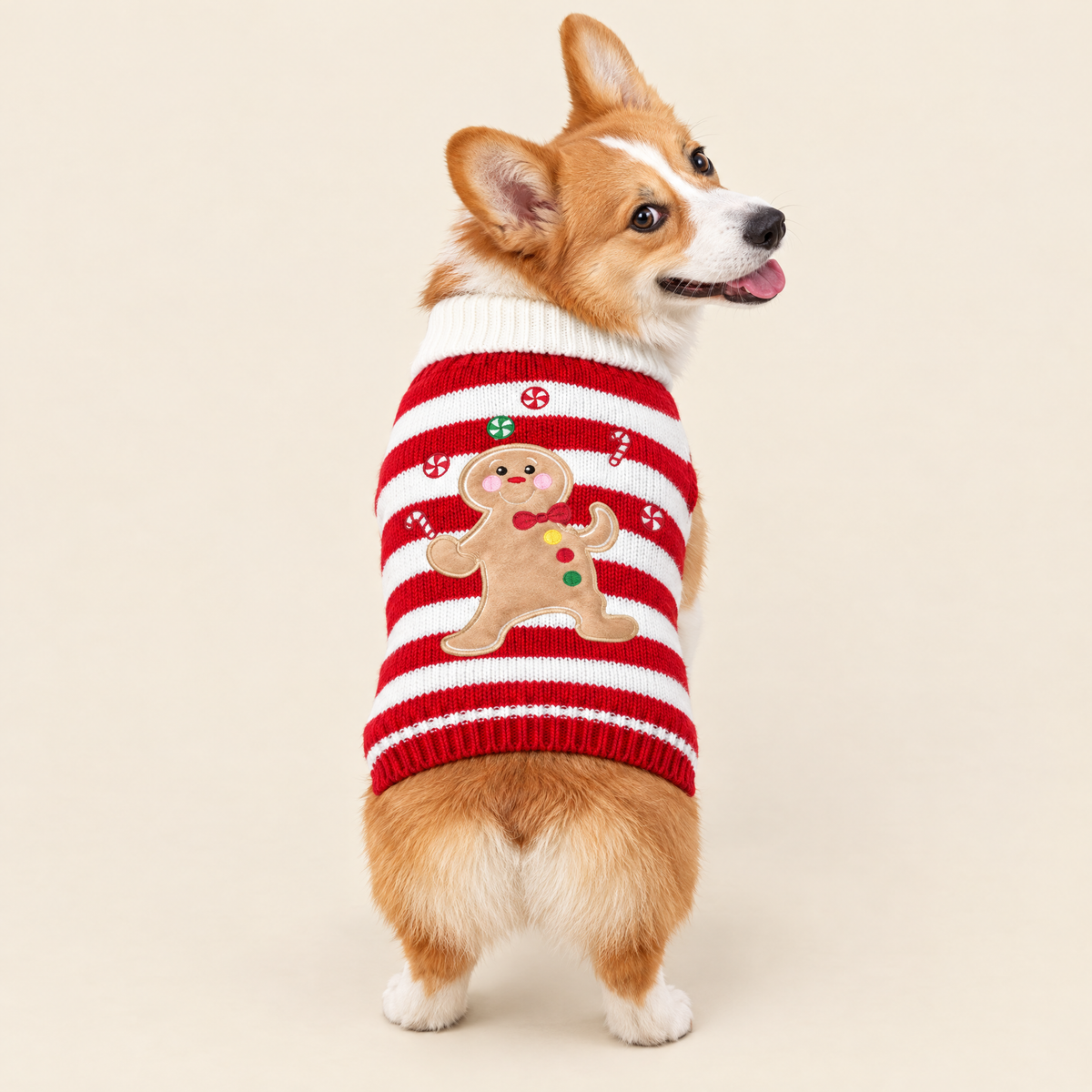 Gingerbread Christmas dog sweater, red and white stripes, back view
