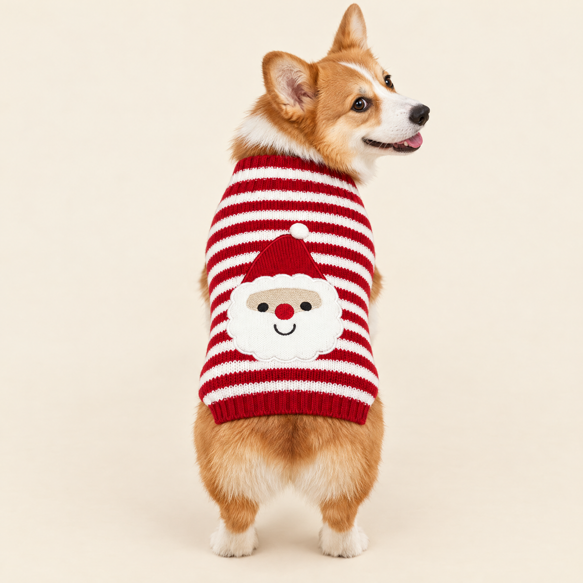 Santa Christmas dog sweater, red and white stripes, back view